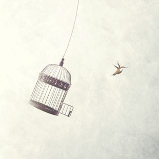 Little bird flying away from cage | thecozyapron.com Bird Cage Art, Freedom Poster, Cage Art, Cage Tattoo, Little Bird Tattoos, Crown Tattoos, Freedom Tattoos, Cage Tattoos, Flying Bird Tattoo