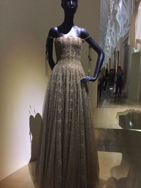 House Of Dior Dresses, Vintage Haute Couture Gowns, Dior Dress Elegant, Dior Vintage Dress, Vintage Dior Dress, Christian Dior Gowns, Most Expensive Dress, Christian Dior Dress, Dior Dresses