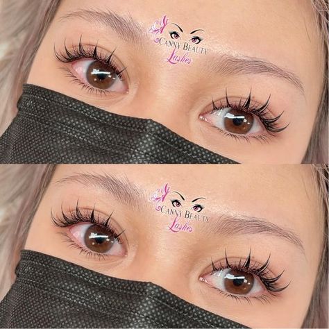 Spike Lashes, Beauty Lash, Hotel Boutique, Lash Artist, Hair Inspo Color, Beautiful Eyes, Dark Academia, Anime Style, Eyelash Extensions