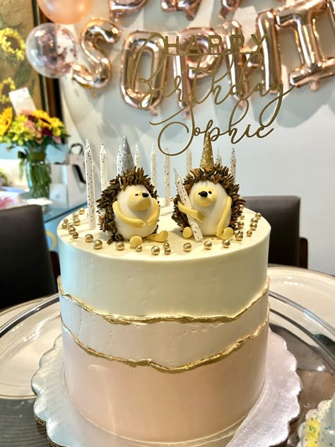 Birthday Cake Hedgehog, Cake With Hedgehog, Hedgehog Themed Birthday Party, Hedgehog Birthday Party, Hedgehog Party Ideas, Hedgehog Cake Ideas, Hedgehog Cupcakes, Hedgehog Birthday Cake, Hedgehog Cupcake