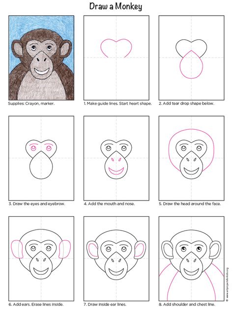 Monkey diagram Monkey Drawing Easy, Draw A Monkey, Monkey Drawing, Classe D'art, Art Projects For Kids, Nose Drawing, Monkey Art, Art Worksheets, Hur Man Målar