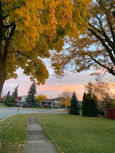 Pretty Neighborhood, Neighborhood Aesthetic, Home Styles Exterior, Fall Mood Board, Fall Country, Yellow Leaves, Fall Aesthetic, Autumn Cozy, Autumn Aesthetic