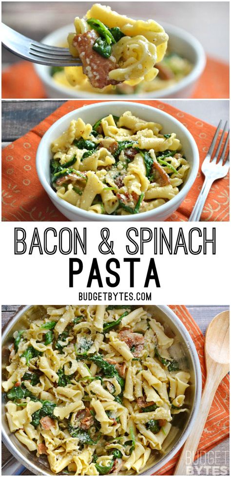 Bacon and Spinach Pasta with Parmesan is a quick weeknight dinner that only requires a few ingredients. BudgetBytes.com Pasta Broccoli Recipes, Recipes Sour Cream, Pasta Broccoli, Bacon Pasta, Pasta Dinners, Pasta Dinner Recipes, Spinach Pasta, Spinach Recipes, Broccoli Recipes