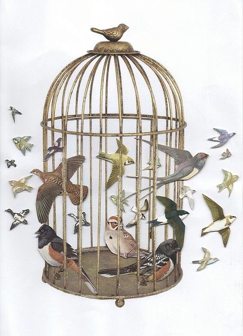 Bird In A Cage, Awesome Possum, The Birdcage, Animals And Nature, Gcse Art Sketchbook, Collage Art Projects, Art Lessons For Kids, The Cage, Indian Prints