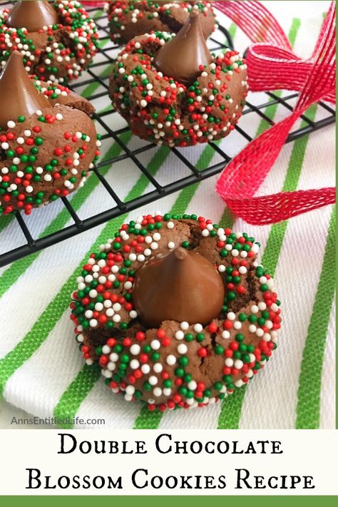 Chocolate Blossom Cookies, Blossom Cookies Recipe, Rainbow Cookies Recipe, Double Chocolate Cookies Recipe, Traditional Christmas Cookies, Italian Cookie Recipes, Cute Christmas Cookies, Blossom Cookies, Holiday Cookie Exchange