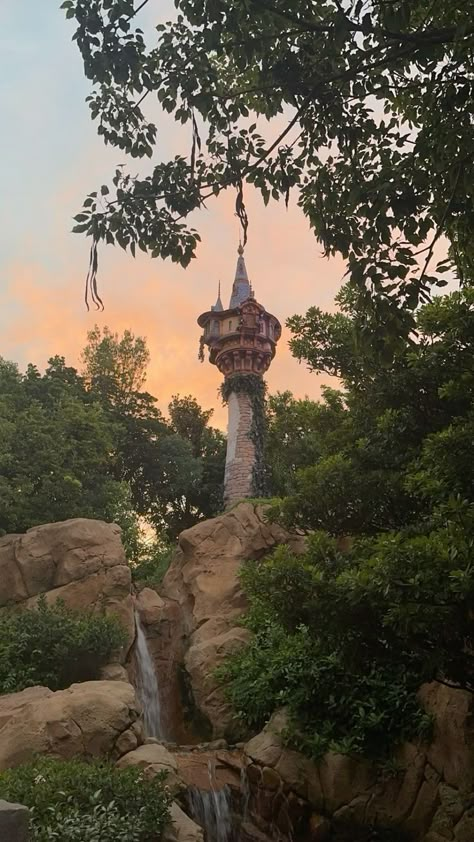 Disney World Tangled, Tangled Kingdom, Magic Kingdom Aesthetic, Tangled Tree, Disneyworld Aesthetic, Tangled Aesthetic, Rapunzel Aesthetic, Disney Core, Disney World Aesthetic