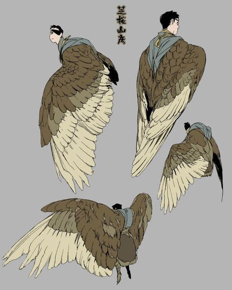 Bird Person Reference, Dnd Winged Character, Human Bird Character Design, Wing Character Design, Winged People Drawing Reference, People With Wings Art, Wing Poses Reference, Bird Wings Reference, Bird People Character Design