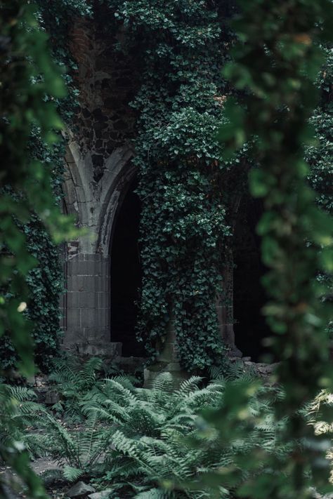 #gothicarchitecture #middleages #czech #monastery Overgrown Architecture, Moors Aesthetic, Monastery Aesthetic, Gothic Gardens, Dark Forest Aesthetic, Forest Aesthetic, Gothic Garden, Forest Scenery, Gothic Cathedrals