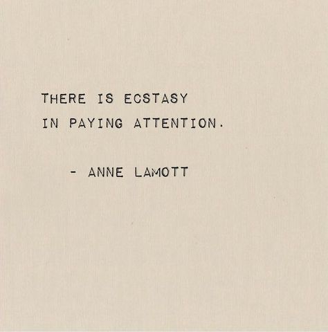 Anne Lammot Quote, Bird By Bird Anne Lamott, Anne Elliot Aesthetic, Anne Lamott Quotes, Work Mindset, Anne Lamott, The Human Mind, Literature Quotes, The Natural World