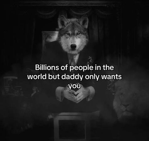 Alpha Quote, Alpha Werewolf, Alpha Wolf, Wolf Quotes, Alpha Sigma, Silly Photos, Silly Images, Alpha Male, Very Funny Pictures