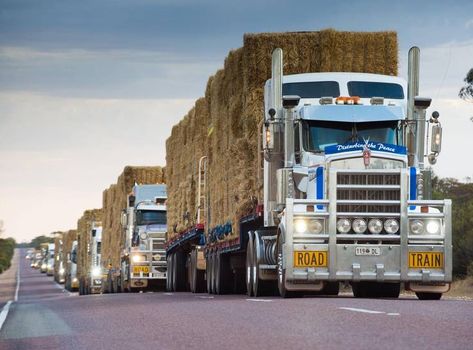 Outback Truckers, Landcruiser Ute, Cummins Diesel Trucks, Meanwhile In Australia, Bales Of Hay, Chevy Diesel Trucks, Country Things, Train Truck, Outback Australia