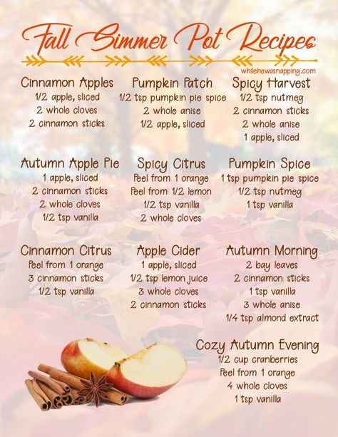 Fall Simmer Pot Recipes that will bring a cozy Autumn inside your home! Fall Simmer Pot, Fall Smells, Homemade Potpourri, Lilin Aroma, Simmer Pot Recipes, Stove Top Potpourri, Simmering Potpourri, Potpourri Recipes, Simmer Pot