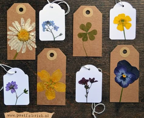 We compiled a list of 40 DIY pressed flower ideas for you to make. If you love beautiful flowers, then this pressed flowers roundup will inspire you. Dry Flower Bookmark, Modge Podge Flowers, Selamat Hari Valentine, Pressed Flowers Diy, Press Flowers, Pressing Flowers, Diy Fleur, Flower Pressing, Diy Flores