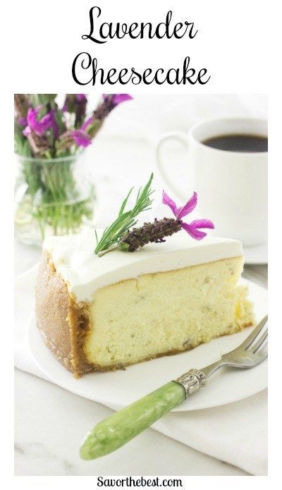 Lavender Cheesecake Lavender Cheesecake Recipe, Recipes With Lavender, Lavender Cheesecake, Lavender Shortbread, Lavender Recipes, Scrumptious Desserts, Trending Recipes, Fancy Desserts, Lavender Buds