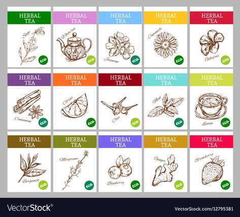 Sage Tea, Tea Labels, Black Tea Leaves, Ceylon Tea, Green Cups, Kaffir Lime, Vector Sketch, Organic Style, Lemon Tea