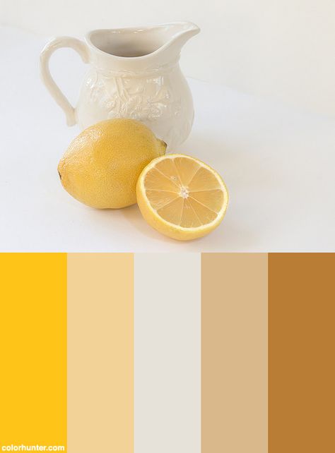 Milk+Or+Lemon+Color+Scheme Milk And Honey Color Palette, Lemon Color Palette, Lemon Boy, Combining Colors, Color Inspiration Boards, Place Branding, Yellow Color Combinations, Palette Challenge, Lemon Color