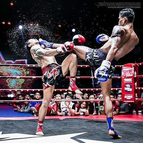 Boxe Thai Boxing Reference, Muay Thai Art, Martial Arts Photography, Crazy Face, Boxe Thai, Action Pose Reference, Anatomy Poses, Martial Arts Workout, Body Reference Poses