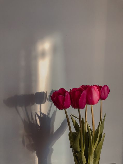 Flower Aesthetic Tulip, Valentines Day Floral Arrangements, Boquette Flowers, Nothing But Flowers, Flower Therapy, Beautiful Bouquet Of Flowers, Highlight Icons, Flower Phone Wallpaper, Pink Tulips