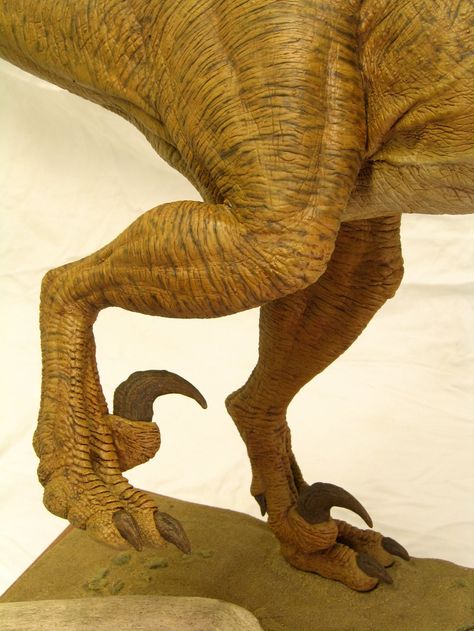 Build report: Horizon's 1/5th scale Velociraptor - AgapeModels.com Leg Reference, Dinosaur Claw, Leg Anatomy, Dinosaur Projects, Feet Drawing, Jurassic Park World, Guided Drawing, Nature Design, Creature Design