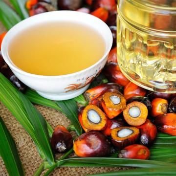 @Fooducate:  Palm Oil, Palm Kernel Oil, and Health Red Palm Oil, Soy Oil, Palm Kernel Oil, Edible Oil, Healthy Oils, Oil Benefits, Soybean Oil, Best Oils, Orange Oil