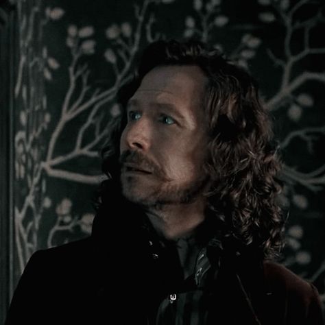 sirius black aesthetic icon Sirius Black Gary Oldman, Remus And Sirius, Harry Potter Artwork, Hogwarts Aesthetic, Harry Potter Actors, Harry Potter Fanfiction, Gary Oldman, Remus Lupin, Harry Potter Cast