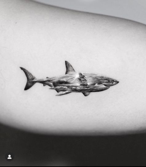 Original Tattoo Ideas, Hai Tattoo, People Architecture, Italian Tattoos, Brain Tattoo, Whale Tattoos, Architecture Nature, Shark Tattoo, Best Tattoo Ideas