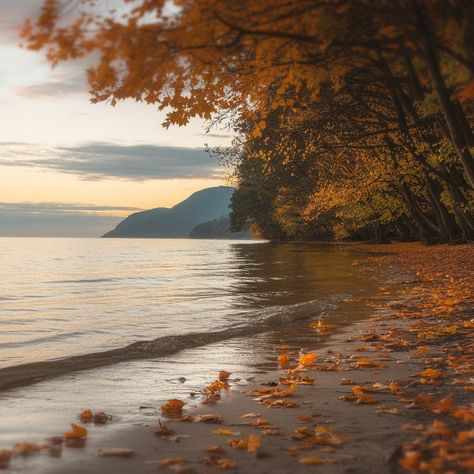 11 Inspiring Fall Seas Activities to Embrace the Season Beach In Autumn, Beach In Fall, Fall At The Beach, Sea Inspired Fashion, Beach Autumn, Autumn Court, Autumn Beach, Fall Board, Lost Memories