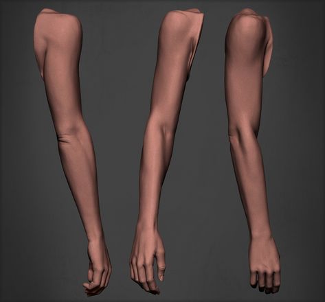 Arm Down Reference, Female Arms Anatomy, Arm Lifted Up Reference, Lifted Arm Reference, Women Arm Anatomy, Athletic Female Body Reference, Side Arm Reference, Arm References Female, Female Hand Anatomy