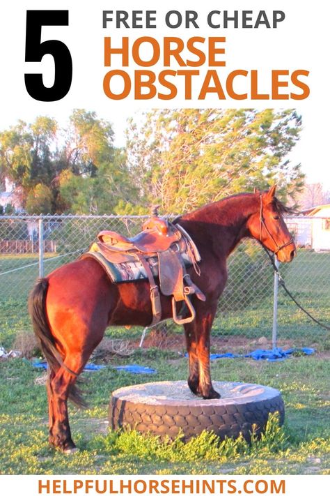 Introducing your horse to obstacles is a great way to help them become calmer, braver horses. These 5 ideas are either FREE or less than $1 and great for desensitizing your horse.   Build your own horse obstacle course with these DIY course ideas. Mix them up by adding tires, water, pool noodles or even making bridges! Obstacle Course Ideas For Horses, Tire Obstacle Course For Horses, Horse Trail Course, Diy Horse Trail Course, Horse Trail Riding Gear, Horse Bridge Obstacle Diy, Obstacle Course For Horses, Horse Obstacles Ideas, Horse Obstacle Course Ideas Trail