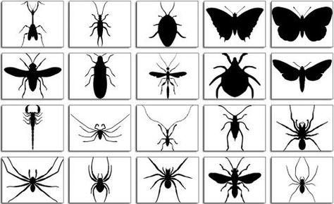 bugs Ivan Cruz, Bug Images, Bugs Preschool, Photoshop Shapes, Insect Crafts, Silhouette Clip Art, Black N White Images, Free Graphics, Business Logo Design