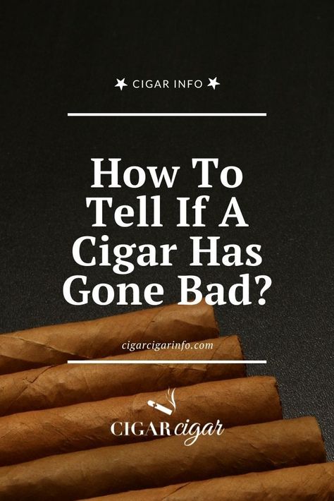 Best Cigars, Famous Cigars, Top Cigars, Cohiba Cigars, Whiskey Quotes, Cigars And Women, Nutrition Drinks, Pipes And Cigars, Good Cigars