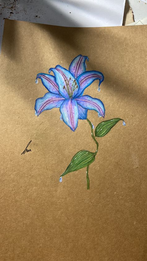 Blue Lily Painting, Blue Spider Lily Drawing, Lily Drawing, Lilies Drawing, Visual Journaling, Purple Lily, Pencil Sketching, Lily Painting, Blue Lily