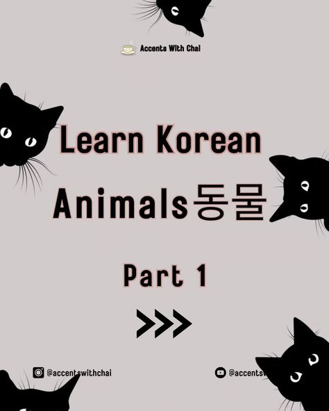 Learn Korean: Pet Animals Edition Learn the names of some of the most common animals we keep as pets 🐾 Do you have a pet at home? If you do, you 🫵🏽 are required to write the Korean word for your pet in the comments below 🥰 . . . . . #petlovers #petloversofinstagram #animalnames #koreanvocabulary #learnkorean #koreanforbeginners #languagelearning #petfun #koreanculture #cutepets #koreanlanguage #peteducation #petnamingfun #instapets #instareels #viralreels #trendingnow #explorepage #reel... Korean Word, Animal Education, Pet Animals, Korean Words, Learn Korean, Korean Language, Animal House, Your Pet, Vocabulary