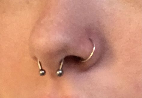 Nostril Piercing Jewelry Hoop, Septum Piercing And Nose Ring, Nostril And Septum Piercing Together, Septum And Nostril Piercing, Septum Piercing Hoop, Double Nose Piercing, Septum Hoop, Nostril Piercing, Nose Piercing Hoop