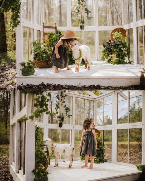 Diy Photography Studio, Photoshoot Studio Ideas, Diy Mini Greenhouse, Photography Studio Design, Easter Mini Session, Photography Mini Sessions, Spring Photoshoot, Farm Photography, Backyard Greenhouse