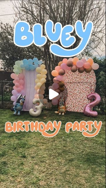 Bluey Party Diy Decorations, Adopt A Floppy, Diy Bluey Birthday, Bluey Diy Party, Bluey Birthday Ideas, Bluey Diy, Bingo From Bluey, Bob Bilby, Diy Bluey