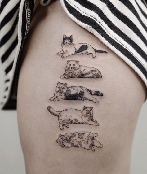 Full Body Cat Tattoo, Multiple Cats Tattoo, Illustrative Cat Tattoo, Tortishell Cat Tattoos, Striped Cat Tattoo, Multiple Cat Tattoo, Cat Knee Tattoo, Big Three Tattoo, Cat Plant Tattoo