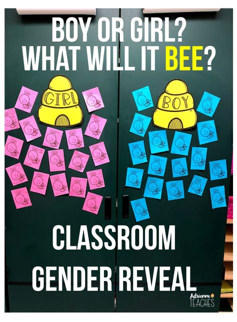 Gender Reveal For Classroom, Gender Reveal Ideas For Classroom, Gender Reveal Ideas For Teachers, Gender Reveal Ideas For School, Classroom Gender Reveal, Gender Reveal Classroom, Teacher Gender Reveal For Students, Classroom Gender Reveal For Students, Gender Reveal For Students