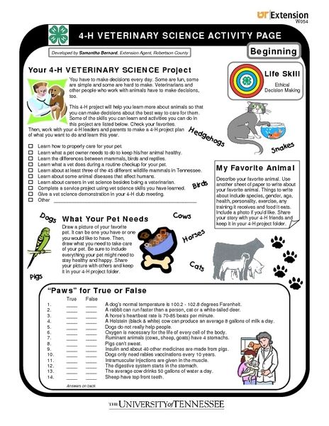 4-H Veterinary Science Activity Page- Life Skill Worksheet Agriculture Education Classroom, Veterinarian School, Vet Science, True Or False Questions, 4h Ideas, 6th Grade Worksheets, Veterinary Science, Science Camp, Science Activity