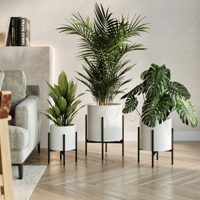 If you're searching for a versatile planter that can effortlessly accommodate your potted plants, the Raya planter is the perfect option. Its simple design, inspired by mid-century modern style, adds depth and character to any room. The brilliant white hue of the planter beautifully highlights the lush greenery, while the durable metal construction offers a reliable base for medium to large-sized plants. The four-legged wooden base provides stability and an elevated touch to the plant. Its round Hm Home Plant Pot, Plant Stand Indoor Large, White Plant Shelves Indoor, Indoor Planters Pots Living Rooms Fireplace, Floor Plants Next To Couch, Bathroom Plant No Light, White Indoor Plant Stands, Plant Stand Amazon, Fake Plants Target