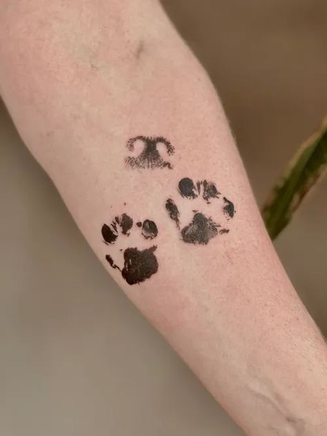 Heartfelt Dog Nose Tattoos: Simple, Realistic, and Minimalist Designs for a Lasting Memorial Nose Tattoo Ideas, Memorial Dog Tattoos, Dog Memory Tattoo, Dog Nose Tattoo, Tattoos For Dogs That Passed, Simple Dog Tattoos, Unique Tattoos With Meaning, Resilience Tattoo, Nose Tattoo