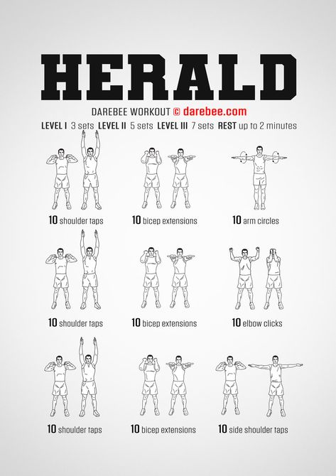 Herald Workout Darbee Workout, Strength Workout Plan, Chair Exercises For Abs, Hero Workouts, Full Body Workout Routine, Conditioning Workouts, Basic Workout, Upper Body Strength, Triceps Workout