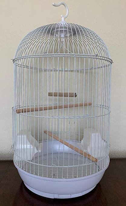 Amazon.com : Mcage Round Bird CAGE for Cockatiel Lovebird Finch Canary Aviary Budgie Parakeet (13" D x 25" H, White) : Birdcages : Pet Supplies Bird Cages Aesthetic, Bird Cage Set Up Ideas, Aesthetic Bird Cage, Lovebirds Cage Ideas, Canary Aviary, Scientist Laboratory, Canary Cage, Budgie Cage, Birds Cage