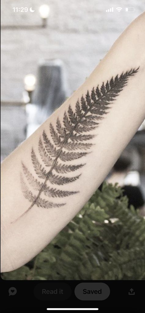 Tattoo Fern, Tattoo Leaf, Dragon Tattoo Back Piece, Fern Tattoo, Leaf Tattoo, Dragon Sleeve Tattoos, Muster Tattoos, Floral Tattoo Sleeve, Body Suit Tattoo