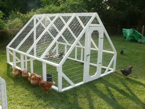 Turkey Coop - BackYard Chickens Community Turkey House Coop, Turkey Housing, Turkey Coop Ideas Buildings, Turkey Coop Ideas, Turkey Coop, Turkey House, Raising Turkeys, Mobile Chicken Coop, Backyard Ducks