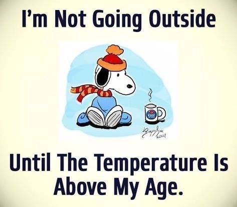 Winter Humor, Weather Quotes, Snoopy Funny, Winter Quotes, Snoopy Quotes, Snoopy Pictures, Snoopy Friends, Charlie Brown Snoopy, Snoopy And Friends