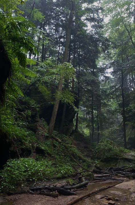 Hocking Hills Ohio, Hocking Hills, Monday Night, Pretty Places, Travel Usa, Ohio, Forest, Photography, Travel