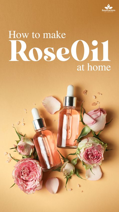 Making Rose Oil, Diy Rose Oil With Coconut Oil, How To Make Rosehip Oil At Home, Diy Rose Oil For Face, Diy Rose Oil How To Make, How To Make Rosehip Oil, How To Make Rose Oil, How To Make Perfume At Home, How To Make Essential Oils At Home