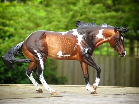 ♞Pinterest ➝ LimitlessSkyy♘ Breyer Horse Display, Diy Horse Barn, Horse Custom, Bryer Horses, Horse Coat Colors, Horse Coats, Horse Show Clothes, Breyer Horse, Peter Stone