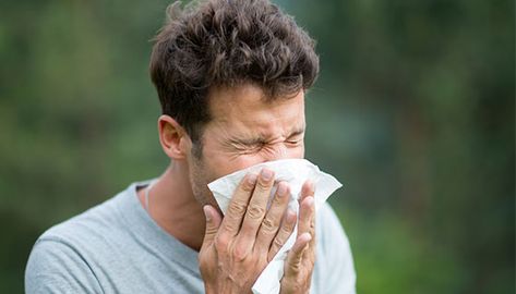 Nasal Obstruction | Johns Hopkins Medicine How To Clean Humidifier, Nasal Obstruction, Types Of Humans, Lung Infection, Respiratory Illness, Seasonal Allergies, Common Cold, Medical News, Runny Nose